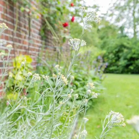 Huus De Freese 35224 בית נופש