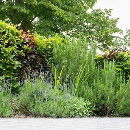 Huus De Freese 35224