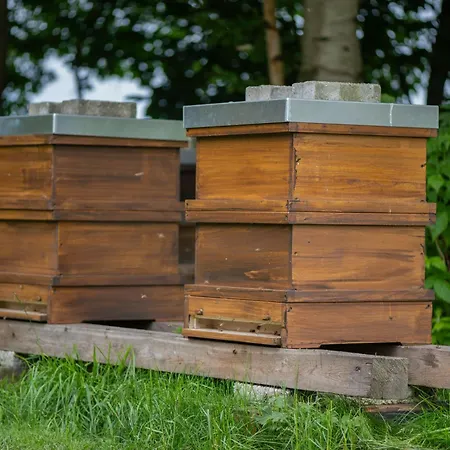 Huus De Freese 35224 בית נופש *