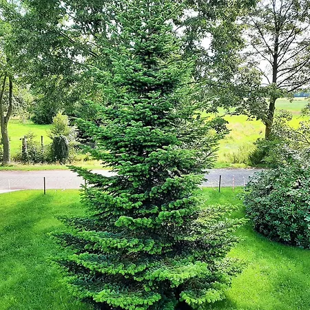 Huus De Freese 35224 בית נופש Beningafehn