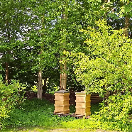 Huus De Freese 35224 בית נופש