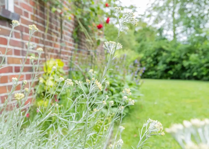 Huus De Freese 35224 بيت للعطل