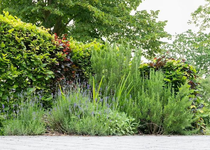 Huus De Freese 35224