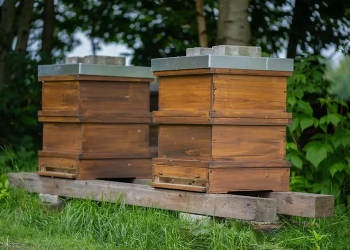 Huus De Freese 35224 بيت للعطل *