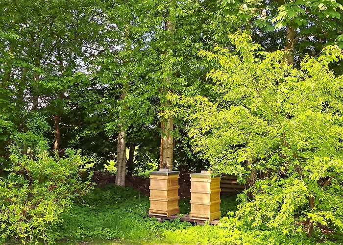 Huus De Freese 35224 بيت للعطل